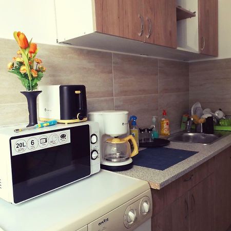 Iasi City Break Rooms エクステリア 写真